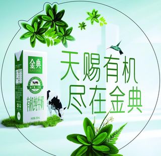 伊利 金典牛奶 金典有机 地贴图片