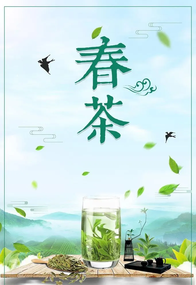 茶叶海报图片(3543x5315)psd模版下载