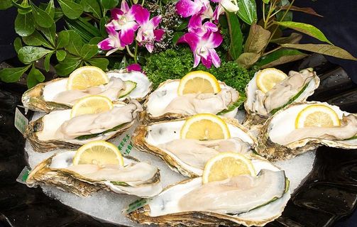 刺身澳洲生蚝图片