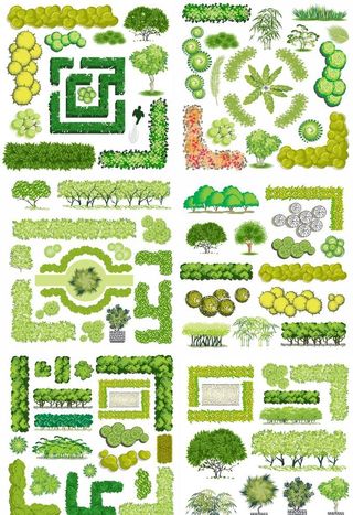 景观绿植墙矢量图片