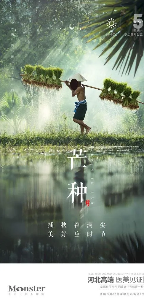 医美芒种节气图片(2099x4150)psd模版下载