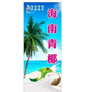 海南椰青图片