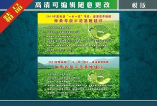 示范基地 桑 蚕 种桑养蚕示范基地图片