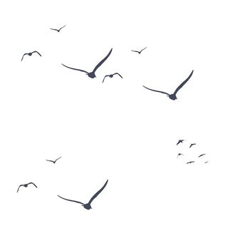 飞鸟群PNG素材图片