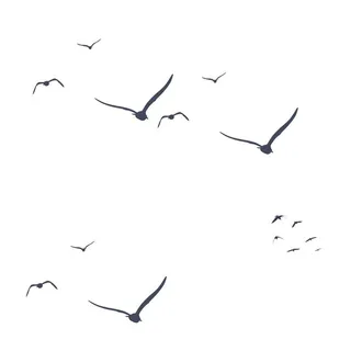 飞鸟群PNG素材图片