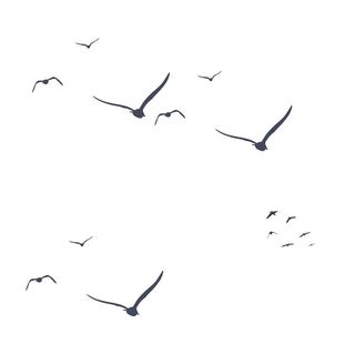 飞鸟群PNG素材图片