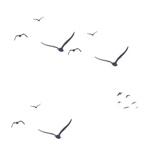 飞鸟群PNG素材图片