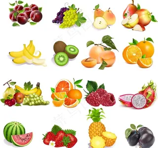 卡通矢量水果合集设计素材图片