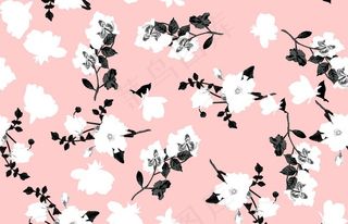 手绘黑白花卉图片