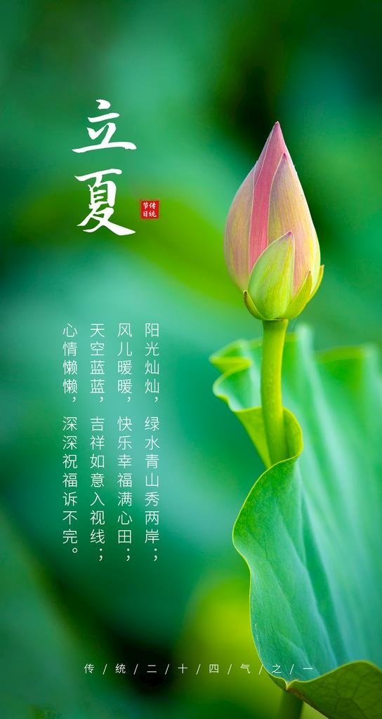 立夏             图片(1242x2208)psd模版下载
