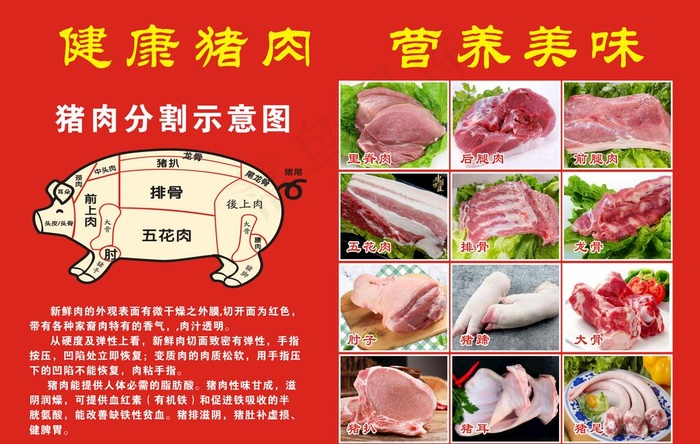 猪肉分割图图片