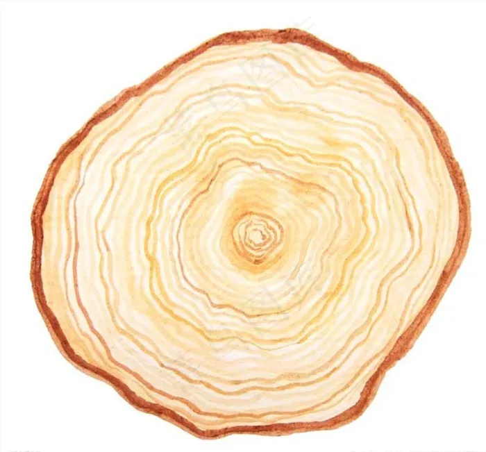 年轮图片(2733x2549)psd模版下载