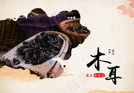 木耳图片 木耳图片