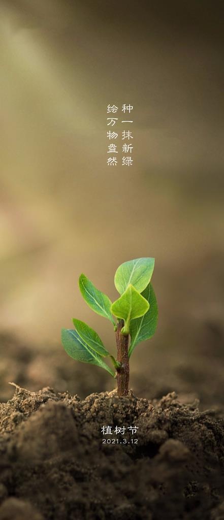 植树节海报图片(1774x3839)psd模版下载