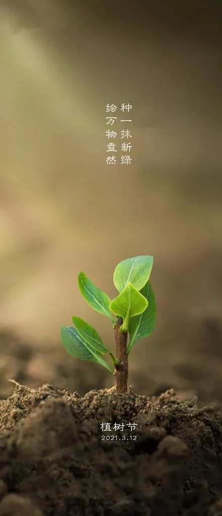 植树节海报图片(1774x3839)psd模版下载