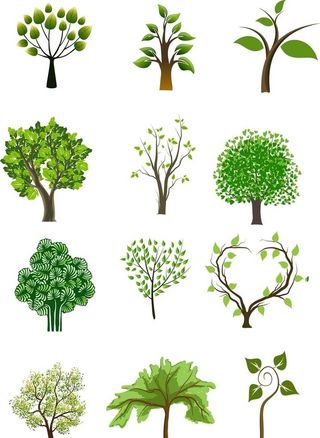 树图片