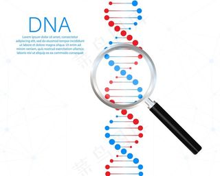 DNA链条 图片