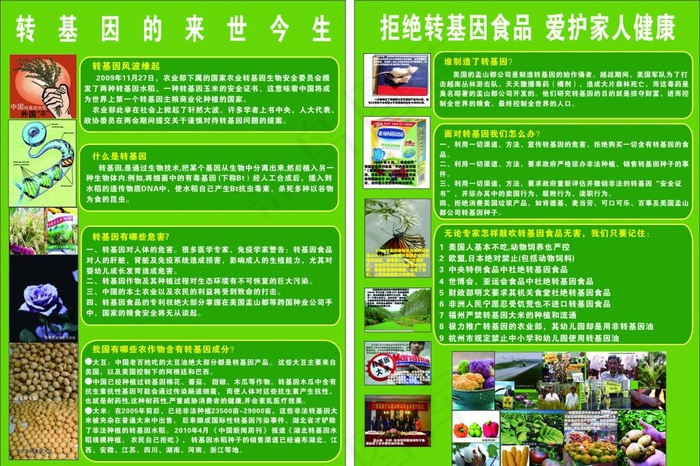 转基因食品传单图片cdr矢量模版下载