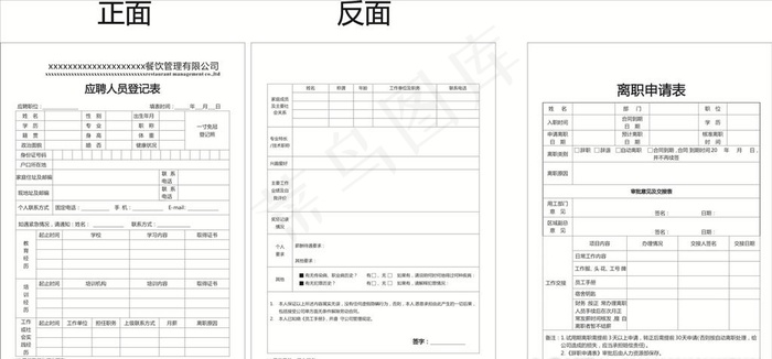 应聘人员登记表图片