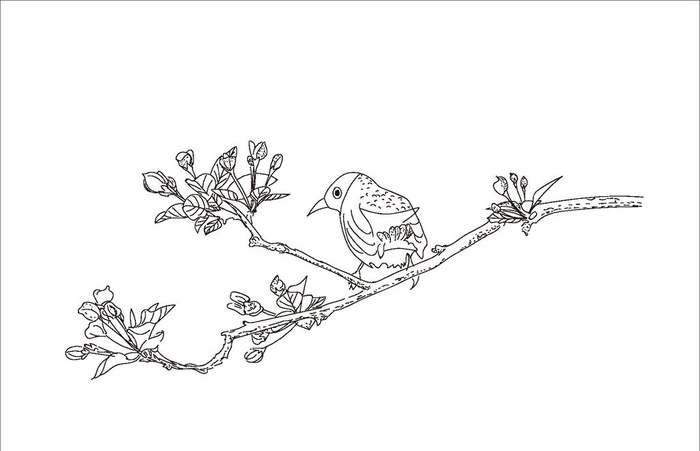 线条鸟图片