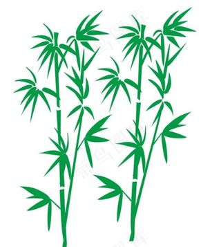 矢量竹子图片