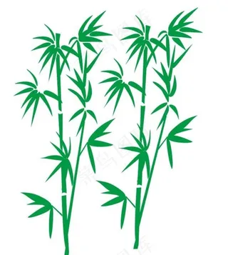 矢量竹子图片