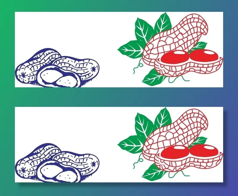 花生矢量图片cdr矢量模版下载