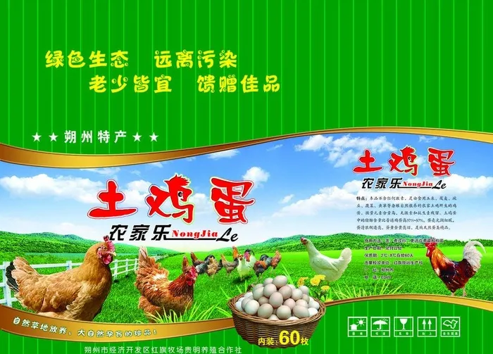 鸡蛋包装图片(5906x4429)psd模版下载