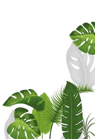 绿植装饰画图片