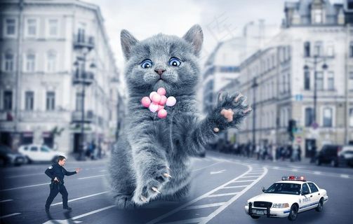 ins风猫斯拉海报图片