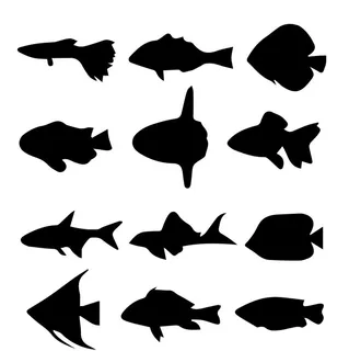 小鱼剪影图片