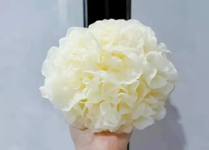 鲜银耳图片