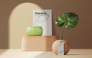 包装场景样机图片