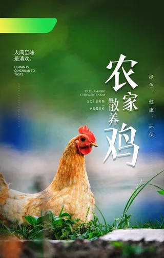 农家鸡生态活动促销宣传海报素材图片