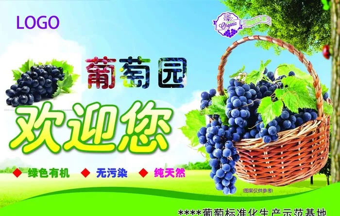葡萄园图片