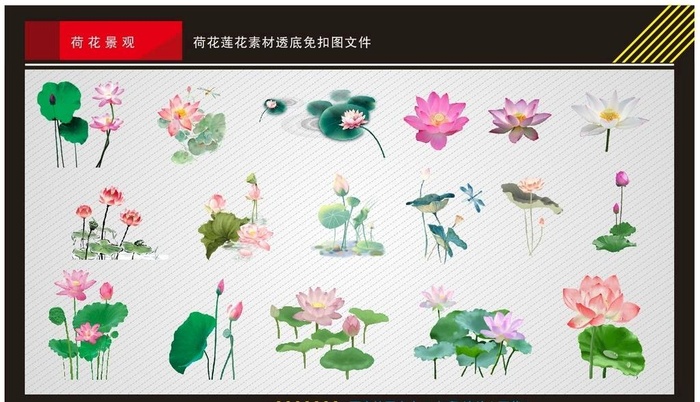 莲花素材图片cdr矢量模版下载