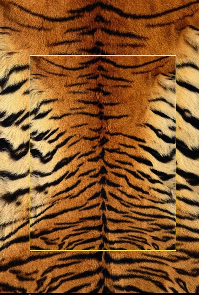 高清动物毛发背景JPG图片