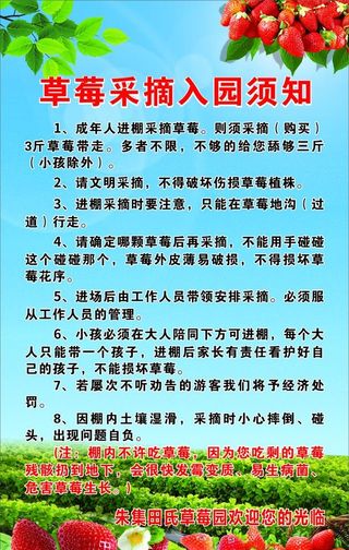 草莓采摘须知图片