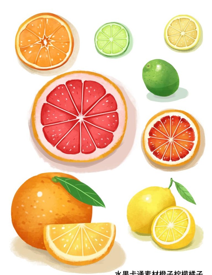 卡通手绘柠檬橙橘子青柠西柚水果图片