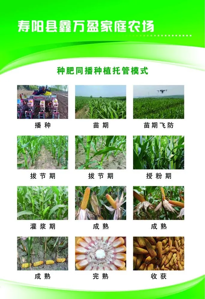家庭农场图片(4724x7087)psd模版下载
