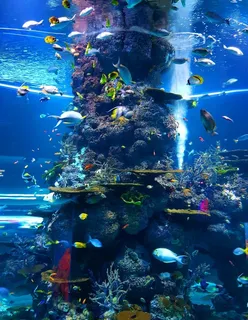 海底世界 图片 海底世界 图片