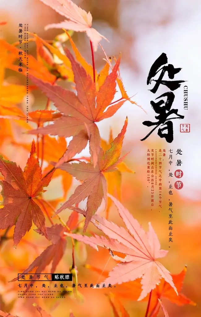 处暑海报图片(3543x5316)psd模版下载