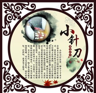 小针刀图片