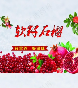 软籽石榴  箱子图片