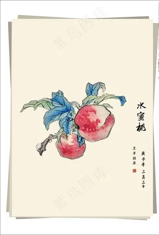 水蜜桃 水墨画图片