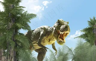 恐龙图片