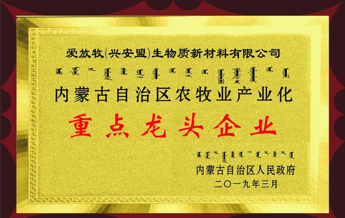 荣誉奖牌图片