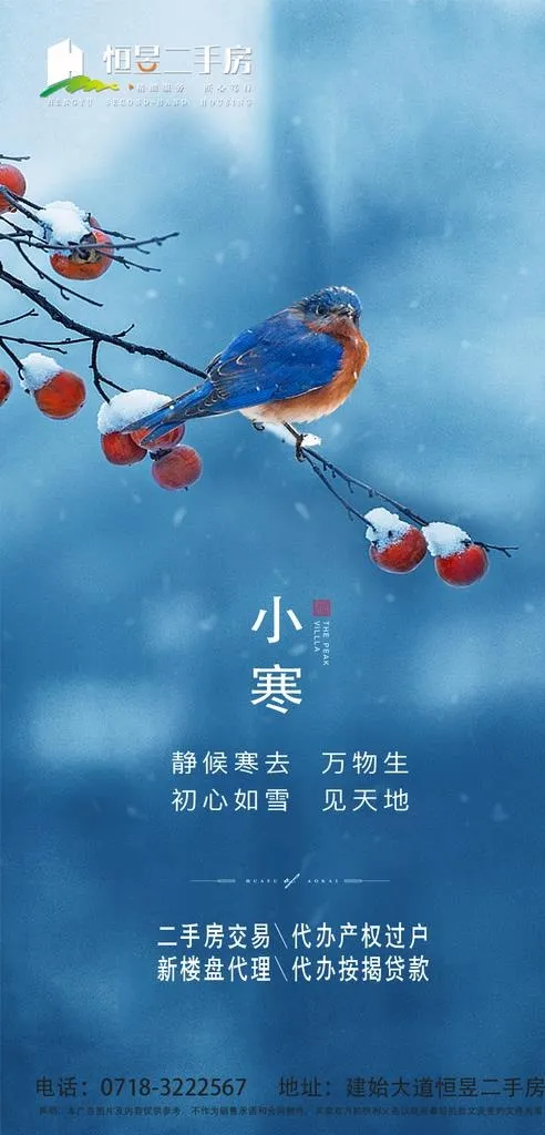 小寒地产图片(900x1758)psd模版下载