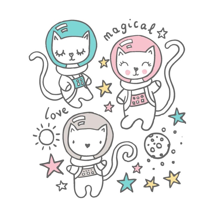 猫图片