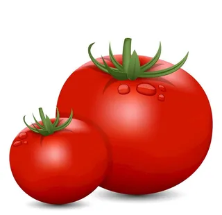 卡通西红柿图片